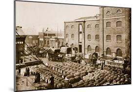 Barrels of Molasses in the West India Docks-English Photographer-Mounted Giclee Print