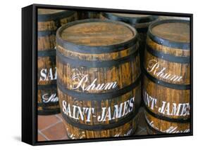 Barrels of Rum, French Antilles, West Indies, Central America-Bruno Barbier-Framed Stretched Canvas