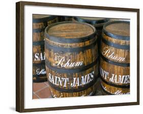 Barrels of Rum, French Antilles, West Indies, Central America-Bruno Barbier-Framed Photographic Print