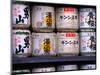 Barrels of Sake, Japanese Rice Wine, Tokyo, Japan-Nancy & Steve Ross-Mounted Photographic Print