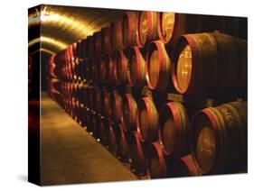 Barrels of Tokaj Wine in Disznoko Cellars, Hungary-Per Karlsson-Stretched Canvas