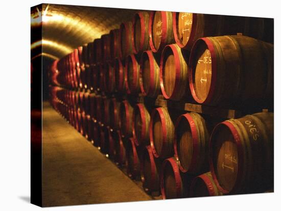 Barrels of Tokaj Wine in Disznoko Cellars, Hungary-Per Karlsson-Stretched Canvas