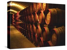 Barrels of Tokaj Wine in Disznoko Cellars, Hungary-Per Karlsson-Stretched Canvas