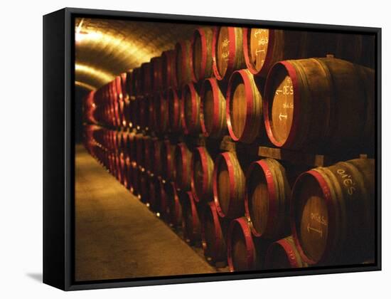 Barrels of Tokaj Wine in Disznoko Cellars, Hungary-Per Karlsson-Framed Stretched Canvas