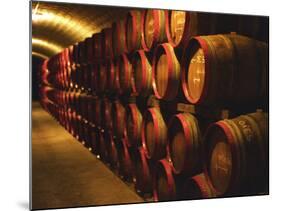 Barrels of Tokaj Wine in Disznoko Cellars, Hungary-Per Karlsson-Mounted Photographic Print