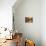 Barrels of Wine Aging in Cellar, Chateau Vannieres, La Cadiere d'Azur-Per Karlsson-Photographic Print displayed on a wall