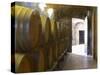 Barrels of Wine Aging in the Cellar, Chateau Vannieres, La Cadiere d'Azur-Per Karlsson-Stretched Canvas