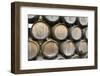 Barrels of wine, Kunde Winery, Sonoma Valley, California-Bill Bachmann-Framed Photographic Print