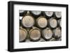 Barrels of wine, Kunde Winery, Sonoma Valley, California-Bill Bachmann-Framed Photographic Print