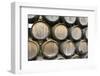 Barrels of wine, Kunde Winery, Sonoma Valley, California-Bill Bachmann-Framed Photographic Print