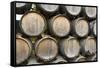 Barrels of wine, Kunde Winery, Sonoma Valley, California-Bill Bachmann-Framed Stretched Canvas