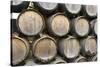 Barrels of wine, Kunde Winery, Sonoma Valley, California-Bill Bachmann-Stretched Canvas