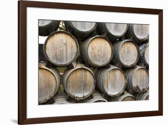 Barrels of wine, Kunde Winery, Sonoma Valley, California-Bill Bachmann-Framed Premium Photographic Print