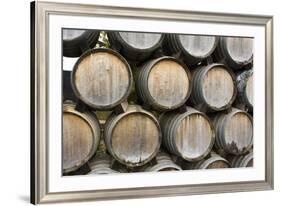 Barrels of wine, Kunde Winery, Sonoma Valley, California-Bill Bachmann-Framed Premium Photographic Print