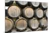 Barrels of wine, Kunde Winery, Sonoma Valley, California-Bill Bachmann-Mounted Premium Photographic Print