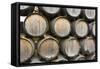 Barrels of wine, Kunde Winery, Sonoma Valley, California-Bill Bachmann-Framed Stretched Canvas