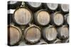 Barrels of wine, Kunde Winery, Sonoma Valley, California-Bill Bachmann-Stretched Canvas