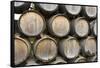 Barrels of wine, Kunde Winery, Sonoma Valley, California-Bill Bachmann-Framed Stretched Canvas