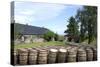 Barrels Waiting to Be Filled, Glenmorangie Distillery, Tain, Scotland-Lynn Seldon-Stretched Canvas