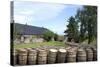 Barrels Waiting to Be Filled, Glenmorangie Distillery, Tain, Scotland-Lynn Seldon-Stretched Canvas