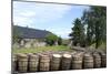 Barrels Waiting to Be Filled, Glenmorangie Distillery, Tain, Scotland-Lynn Seldon-Mounted Photographic Print