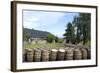 Barrels Waiting to Be Filled, Glenmorangie Distillery, Tain, Scotland-Lynn Seldon-Framed Photographic Print