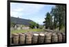 Barrels Waiting to Be Filled, Glenmorangie Distillery, Tain, Scotland-Lynn Seldon-Framed Photographic Print