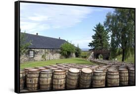 Barrels Waiting to Be Filled, Glenmorangie Distillery, Tain, Scotland-Lynn Seldon-Framed Stretched Canvas