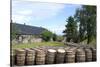 Barrels Waiting to Be Filled, Glenmorangie Distillery, Tain, Scotland-Lynn Seldon-Stretched Canvas