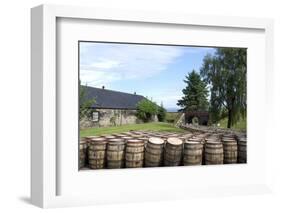 Barrels Waiting to Be Filled, Glenmorangie Distillery, Tain, Scotland-Lynn Seldon-Framed Photographic Print