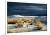 Barren Desert Landscape with Grasses under a Blue Sky-Jody Miller-Framed Photographic Print