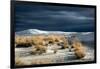 Barren Desert Landscape with Grasses under a Blue Sky-Jody Miller-Framed Photographic Print