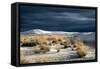 Barren Desert Landscape with Grasses under a Blue Sky-Jody Miller-Framed Stretched Canvas