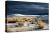 Barren Desert Landscape with Grasses under a Blue Sky-Jody Miller-Stretched Canvas