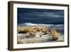 Barren Desert Landscape with Grasses under a Blue Sky-Jody Miller-Framed Photographic Print