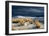 Barren Desert Landscape with Grasses under a Blue Sky-Jody Miller-Framed Photographic Print