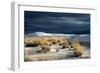 Barren Desert Landscape with Grasses under a Blue Sky-Jody Miller-Framed Photographic Print