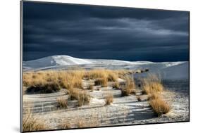 Barren Desert Landscape with Grasses under a Blue Sky-Jody Miller-Mounted Photographic Print