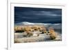 Barren Desert Landscape with Grasses under a Blue Sky-Jody Miller-Framed Photographic Print