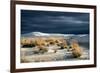 Barren Desert Landscape with Grasses under a Blue Sky-Jody Miller-Framed Photographic Print