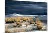 Barren Desert Landscape with Grasses under a Blue Sky-Jody Miller-Mounted Photographic Print