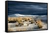 Barren Desert Landscape with Grasses under a Blue Sky-Jody Miller-Framed Stretched Canvas