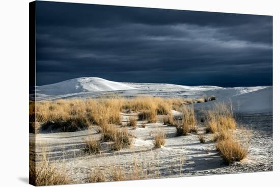 Barren Desert Landscape with Grasses under a Blue Sky-Jody Miller-Stretched Canvas