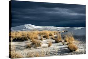 Barren Desert Landscape with Grasses under a Blue Sky-Jody Miller-Stretched Canvas