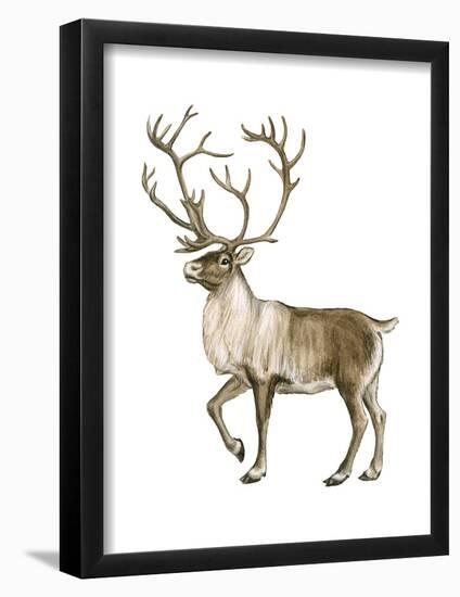 Barren Ground Caribou (Rangifer Arcticus), Mammals-Encyclopaedia Britannica-Framed Poster