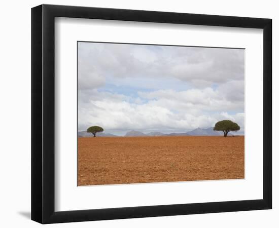 Barren Landscape with Trees-Ted Levine-Framed Photographic Print