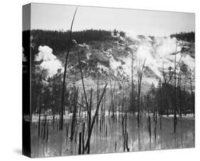 Barren trunks in water near steam rising from mountains, Roaring Mountain, Yellowstone National Par-Ansel Adams-Stretched Canvas