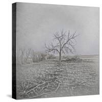 Barren-Amanda Lee Smith-Stretched Canvas