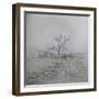 Barren-Amanda Lee Smith-Framed Photographic Print