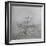 Barren-Amanda Lee Smith-Framed Photographic Print